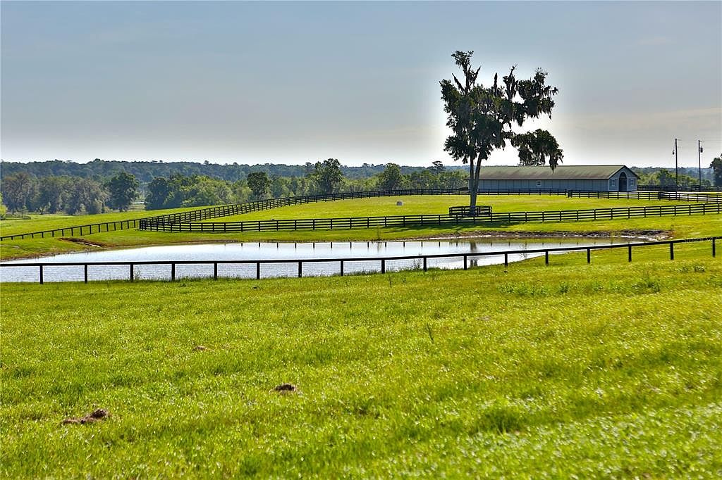 This exterior shot showcases a sprawling green lawn leading to a serene pond with a black fence. In the background, a large barn-like structure is visible, partially obscured by a mature tree. The scene evokes a sense of tranquility and spaciousness, highlighting the property's natural beauty and potential for outdoor activities.