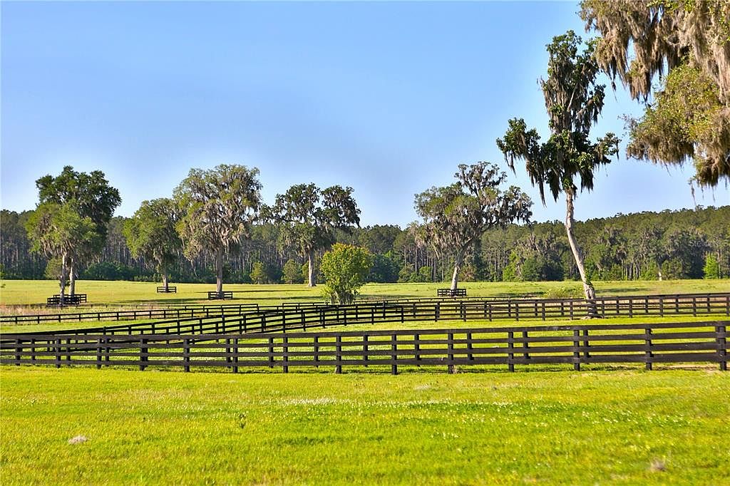 This image showcases a sprawling yard with lush green grass and a classic black wooden fence. Mature trees dot the landscape, some draped with Spanish moss, adding character and charm. The scene evokes a sense of tranquility and spaciousness, ideal for a country estate or equestrian property.