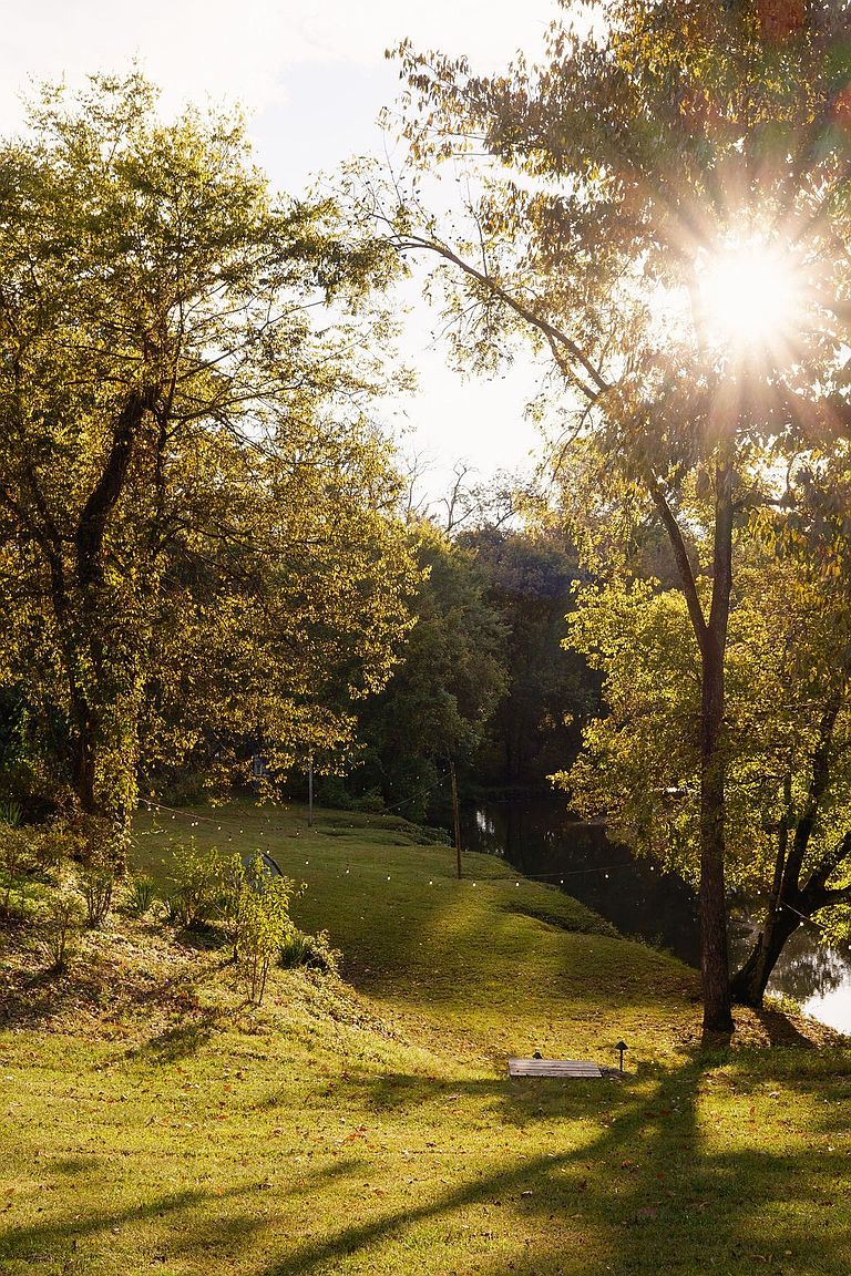 This image showcases a serene yard or garden area with lush green grass and mature trees, bathed in warm sunlight. A small wooden platform or dock is visible near the water's edge, suggesting a peaceful retreat. The scene evokes a sense of tranquility and natural beauty, ideal for relaxation and outdoor enjoyment.