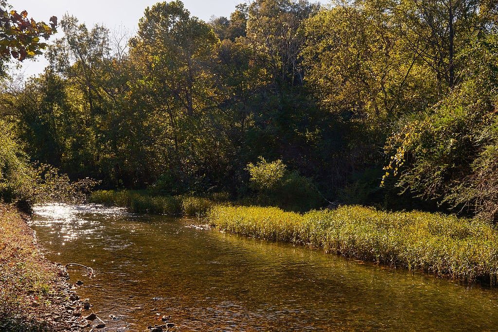 The image showcases a serene natural landscape featuring a gently flowing river bordered by lush greenery and trees. Sunlight glints off the water's surface, creating a sparkling effect. The scene evokes a sense of tranquility and could highlight the property's access to natural amenities or a private waterfront.