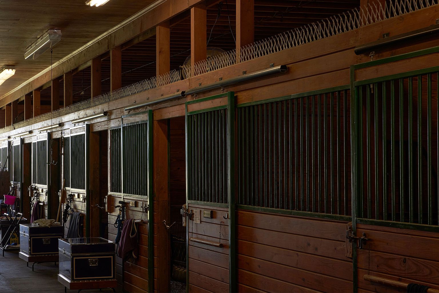 The image showcases the interior of a horse stable, featuring a row of wooden stalls with metal bars. The stalls are well-maintained, with visible tack and equipment, suggesting a functional and organized space. The warm lighting and wooden construction create a rustic and inviting atmosphere.