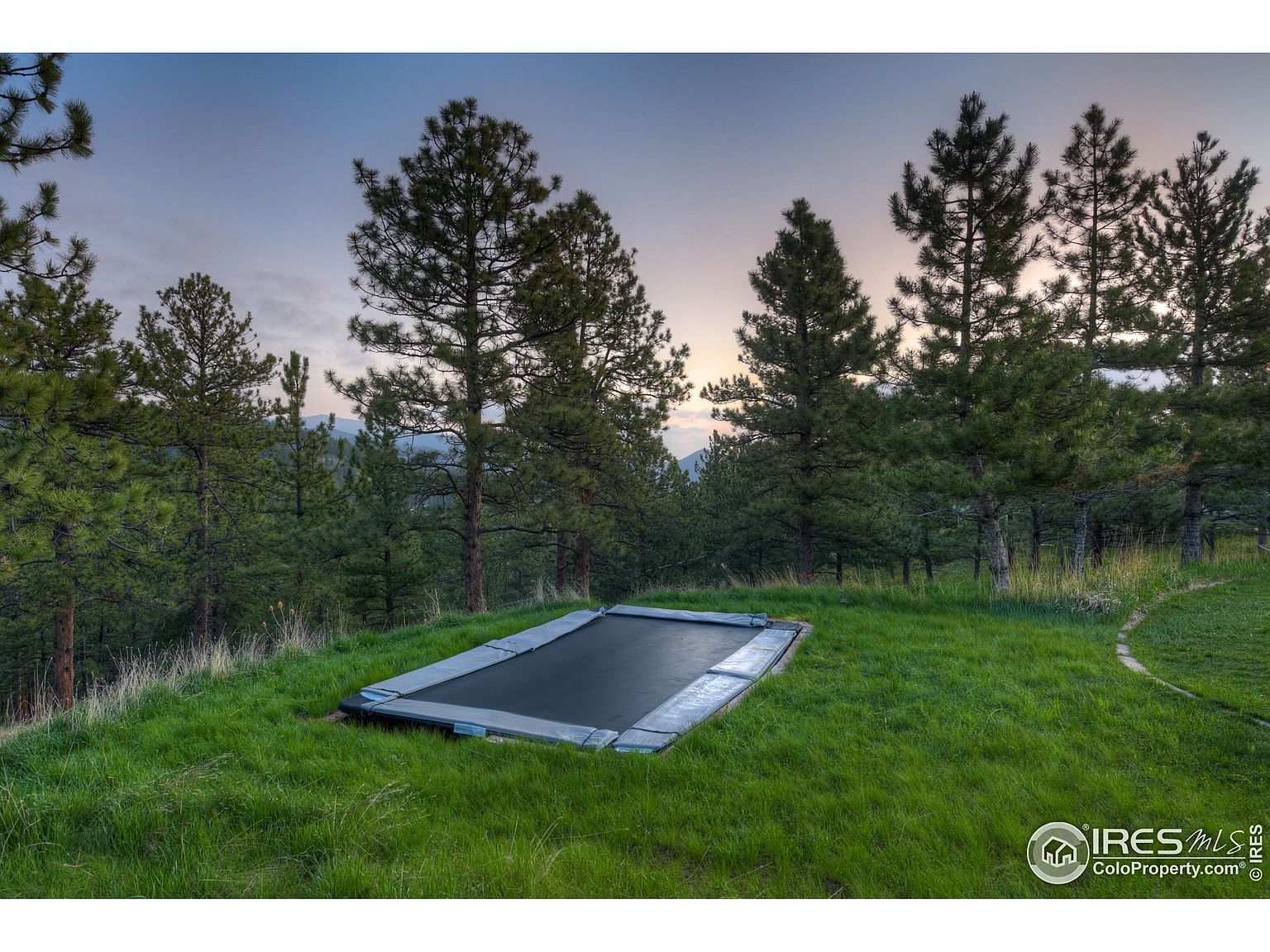 This image showcases a well-maintained yard with lush green grass and mature pine trees in the background, creating a serene and natural setting. A partially buried trampoline adds an element of recreation to the landscape. The overall impression is one of a spacious and private outdoor area, perfect for relaxation and outdoor activities.