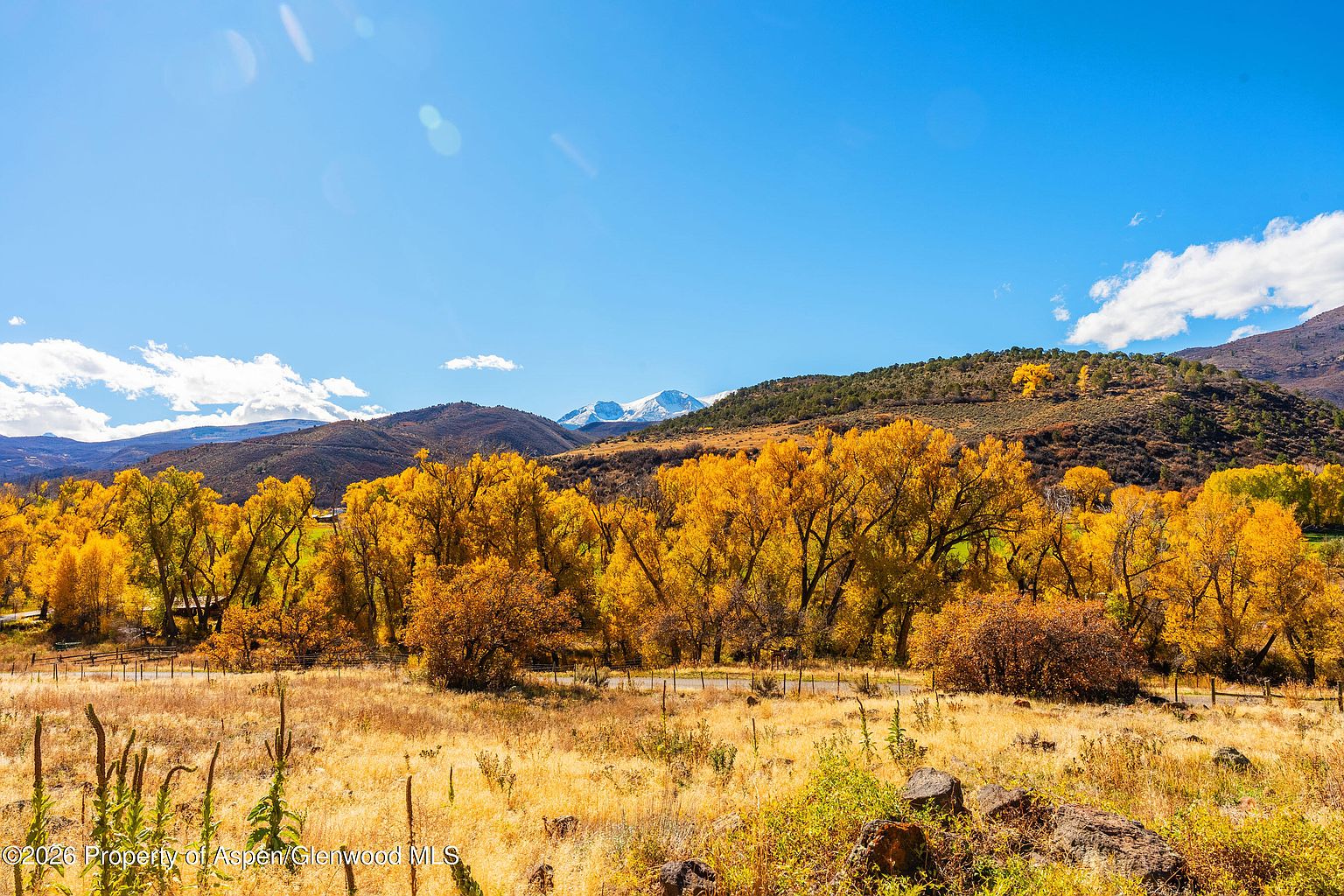 This scenic landscape view captures a vibrant autumn scene with golden-yellow trees set against a backdrop of rolling hills and distant snow-capped mountains. The foreground features a dry, grassy meadow with scattered rocks, leading toward a line of mature trees that frame the horizon under a clear, bright blue sky. The perspective is a wide-angle, eye-level shot that emphasizes the expansive natural beauty and seasonal character of the property's surroundings.