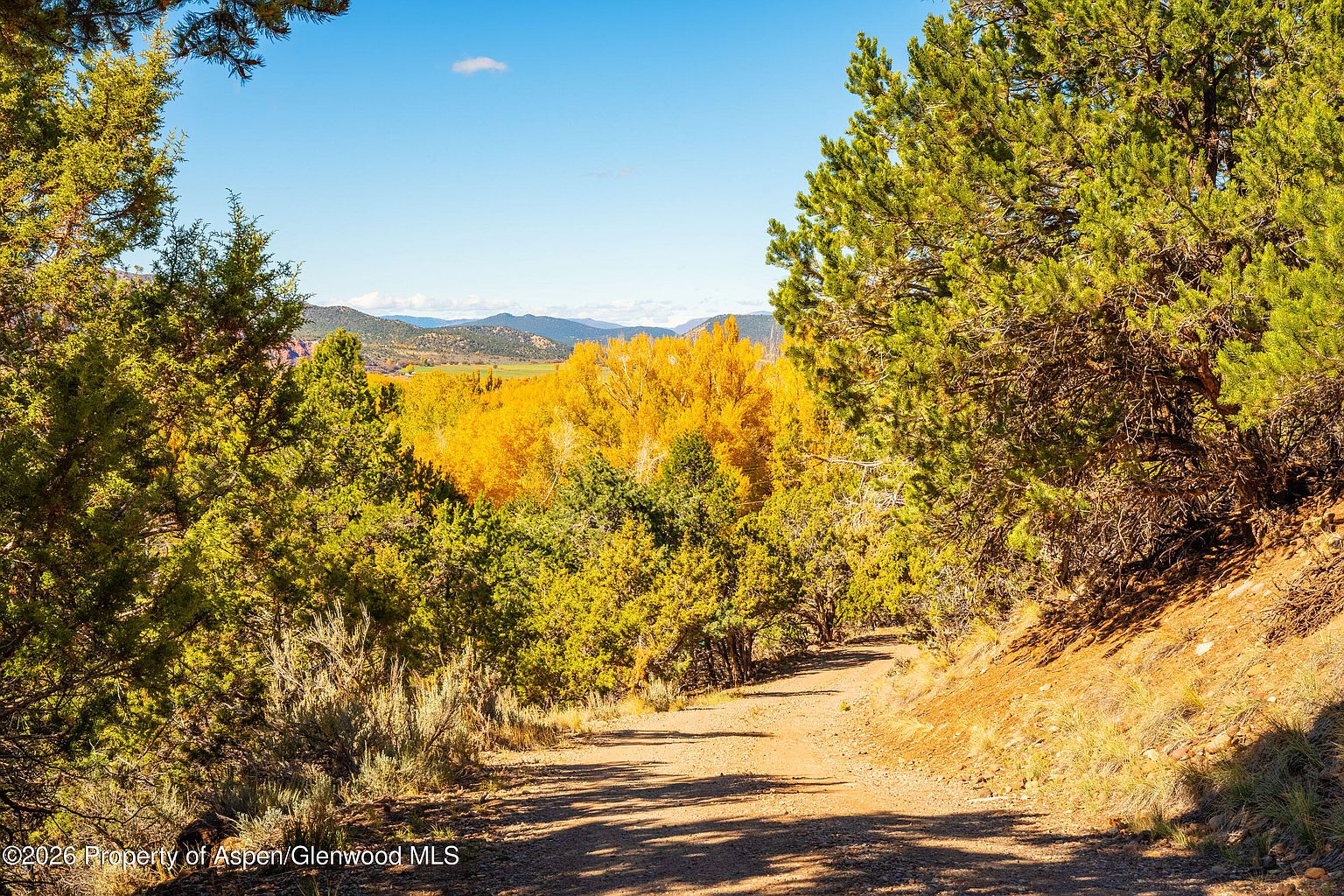 This image captures a scenic, unpaved dirt road winding through a lush, wooded landscape during the autumn season. The foreground features dense green foliage and a steep, earthy embankment, while the background reveals a vibrant valley filled with golden-yellow trees and distant mountain ranges under a clear blue sky. The perspective is from a low-angle, eye-level viewpoint looking down the path, emphasizing the natural beauty and secluded atmosphere of the property.