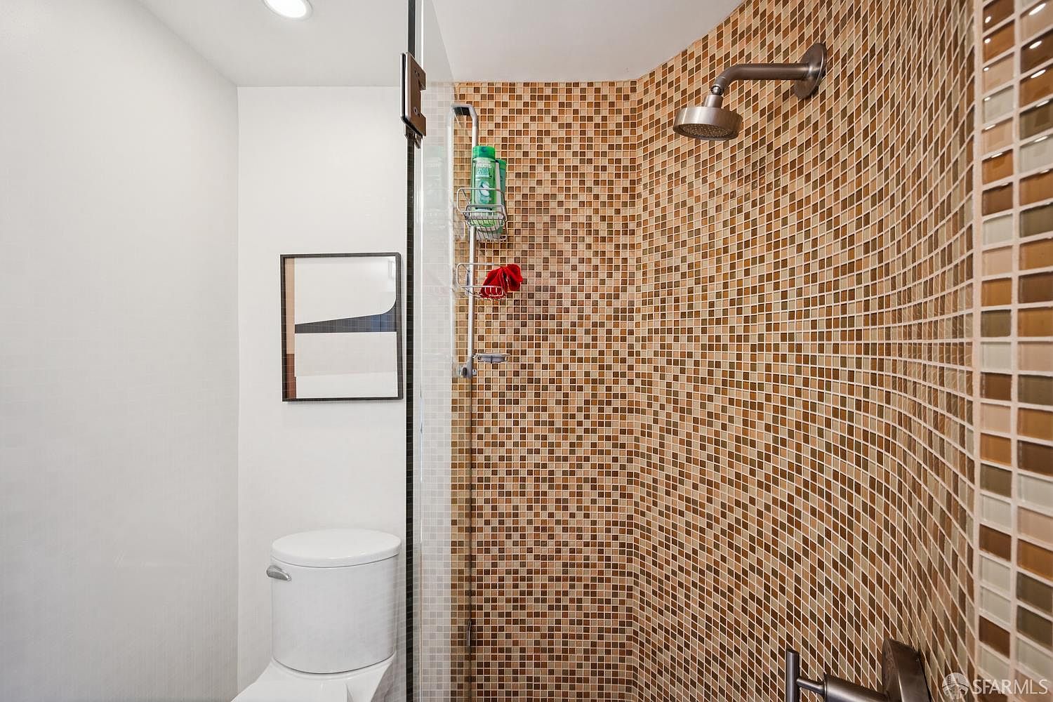 This compact bathroom features a walk-in shower enclosed by a glass panel, highlighted by a vibrant, multi-toned brown mosaic tile surround. A white toilet is positioned adjacent to the shower, and a framed piece of abstract wall art adds a decorative touch to the neutral-toned space. The perspective is a direct, eye-level shot capturing the functional layout and the contrast between the textured tile and the clean white walls.
