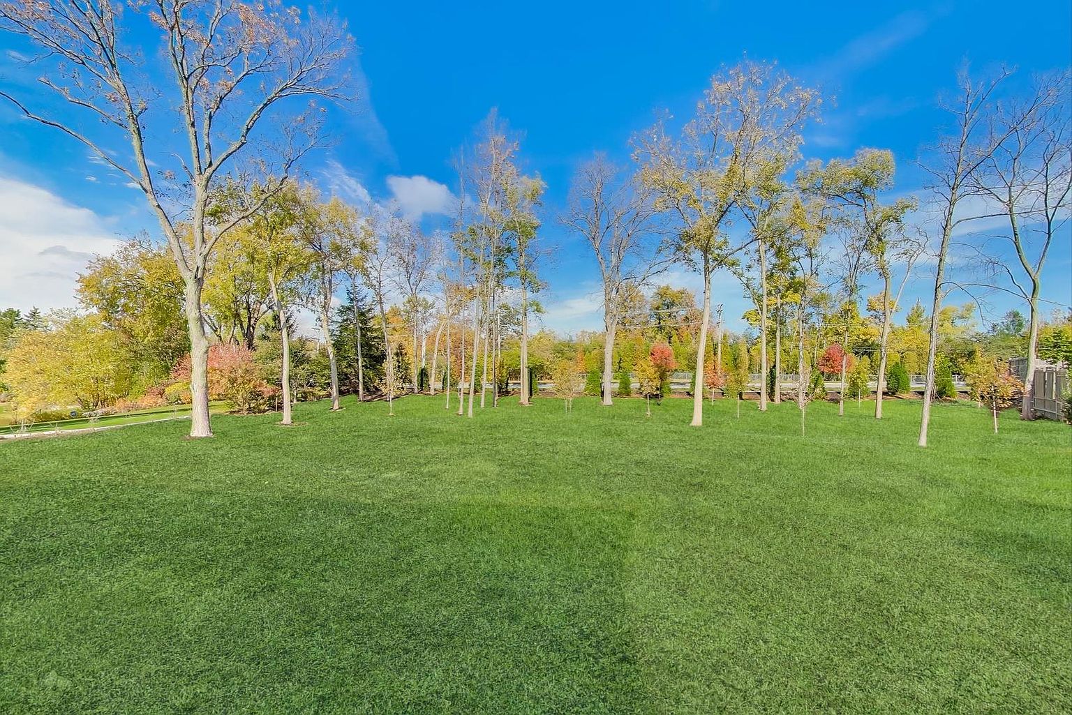 This image showcases a spacious and well-maintained yard with lush green grass and mature trees. The trees are scattered throughout the yard, providing shade and visual interest. The clear blue sky enhances the overall appeal, suggesting a serene and inviting outdoor space.