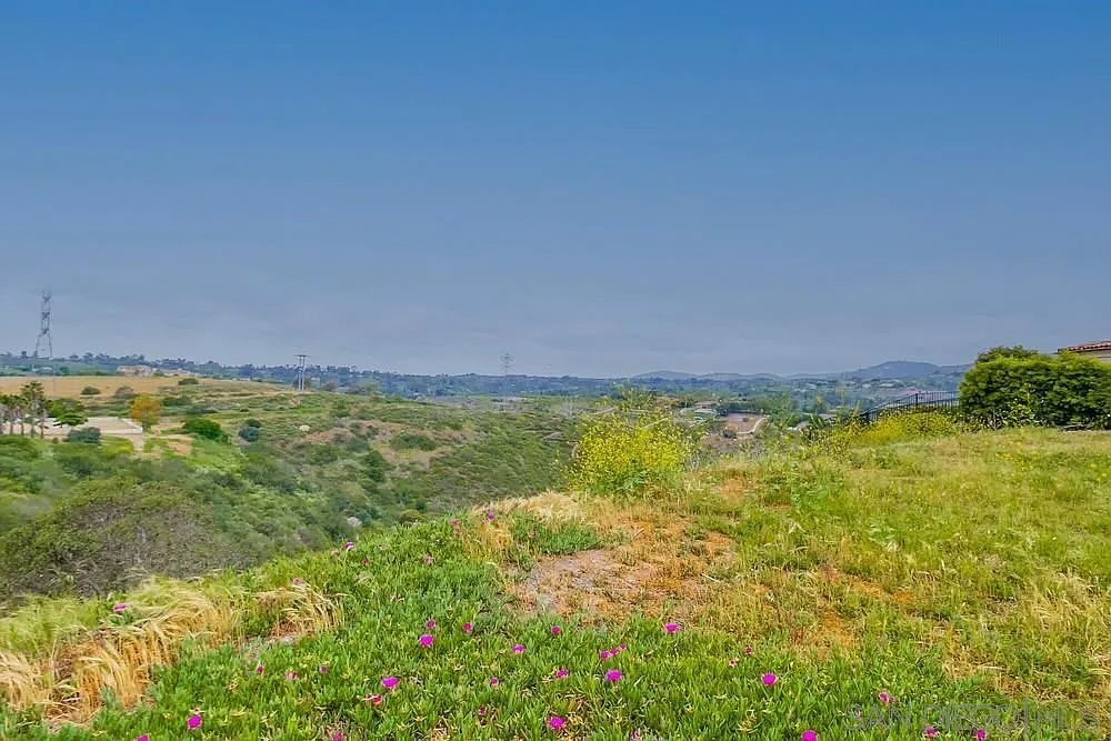 This image showcases a vibrant yard/garden with lush greenery and colorful wildflowers in the foreground. The landscape extends into the distance, revealing rolling hills and a clear blue sky. The scene evokes a sense of tranquility and natural beauty, highlighting the property's outdoor space and potential for relaxation and enjoyment.
