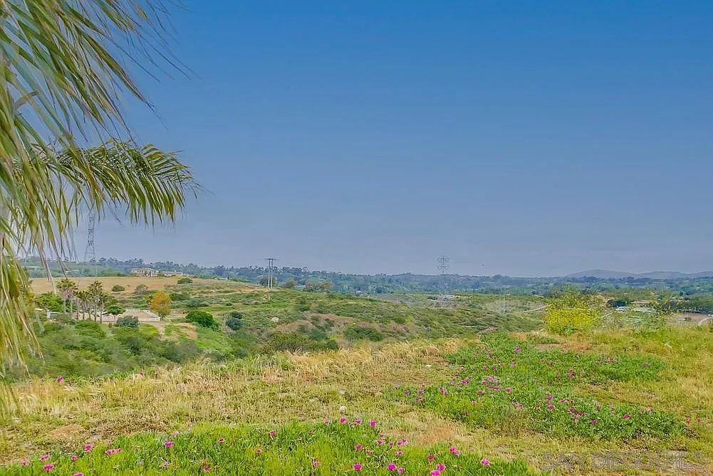 This image showcases a sprawling yard or garden area with a mix of grassy fields and flowering plants in the foreground. The landscape extends into rolling hills with scattered trees and shrubs, leading to a distant horizon under a clear blue sky. Power lines and towers are visible in the distance, adding a touch of civilization to the otherwise natural setting.
