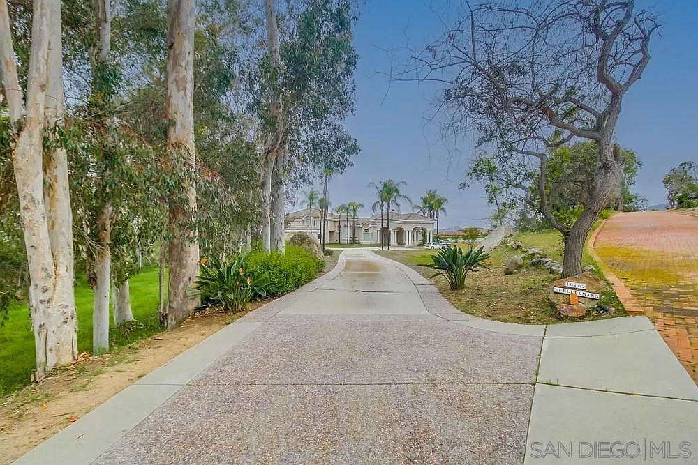 This image showcases the front exterior of a grand estate, featuring a long, winding driveway leading to the main residence. The house is framed by mature trees and landscaping, creating a sense of privacy and elegance. The architectural style appears to be traditional with a touch of Mediterranean influence, highlighted by the light-colored facade and arched entryways.
