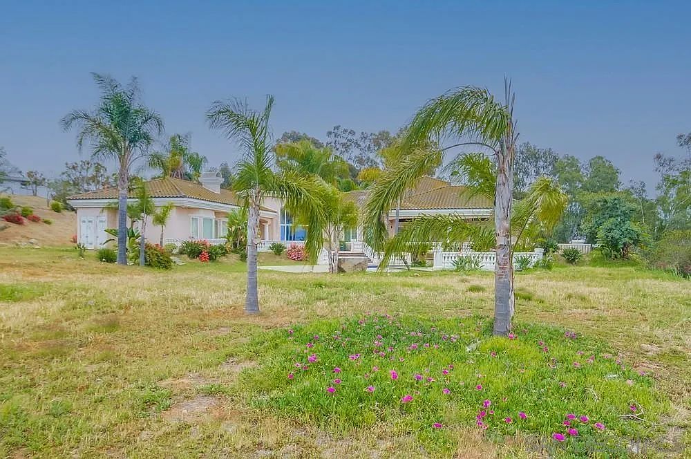 This image showcases the expansive yard of a property, featuring a mix of manicured lawn and natural vegetation. Palm trees are scattered throughout the landscape, adding a tropical touch. The property itself is visible in the background, suggesting a spacious and well-maintained estate.