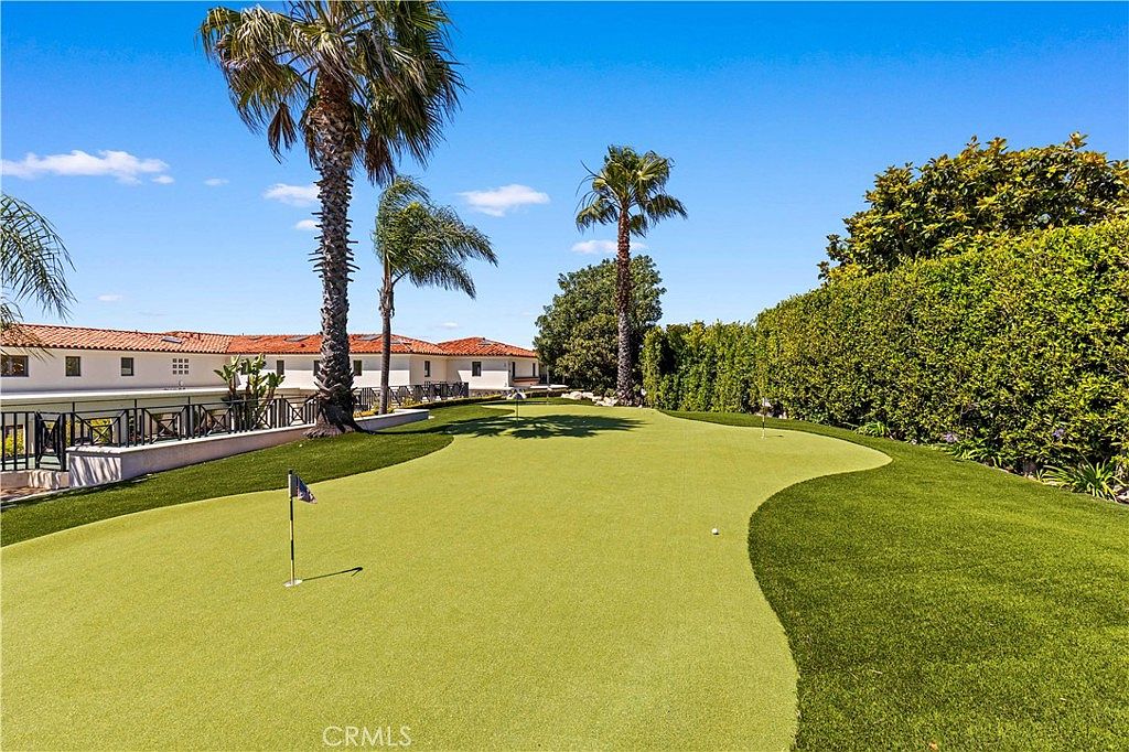 This backyard features a professionally maintained putting green with two flag pins, set against a backdrop of tall palm trees and a dense, manicured privacy hedge. The putting green is bordered by a lush lawn and a low retaining wall that separates the yard from the adjacent residence. The scene is captured from a ground-level perspective, highlighting the expansive outdoor recreational space and the clear blue sky.
