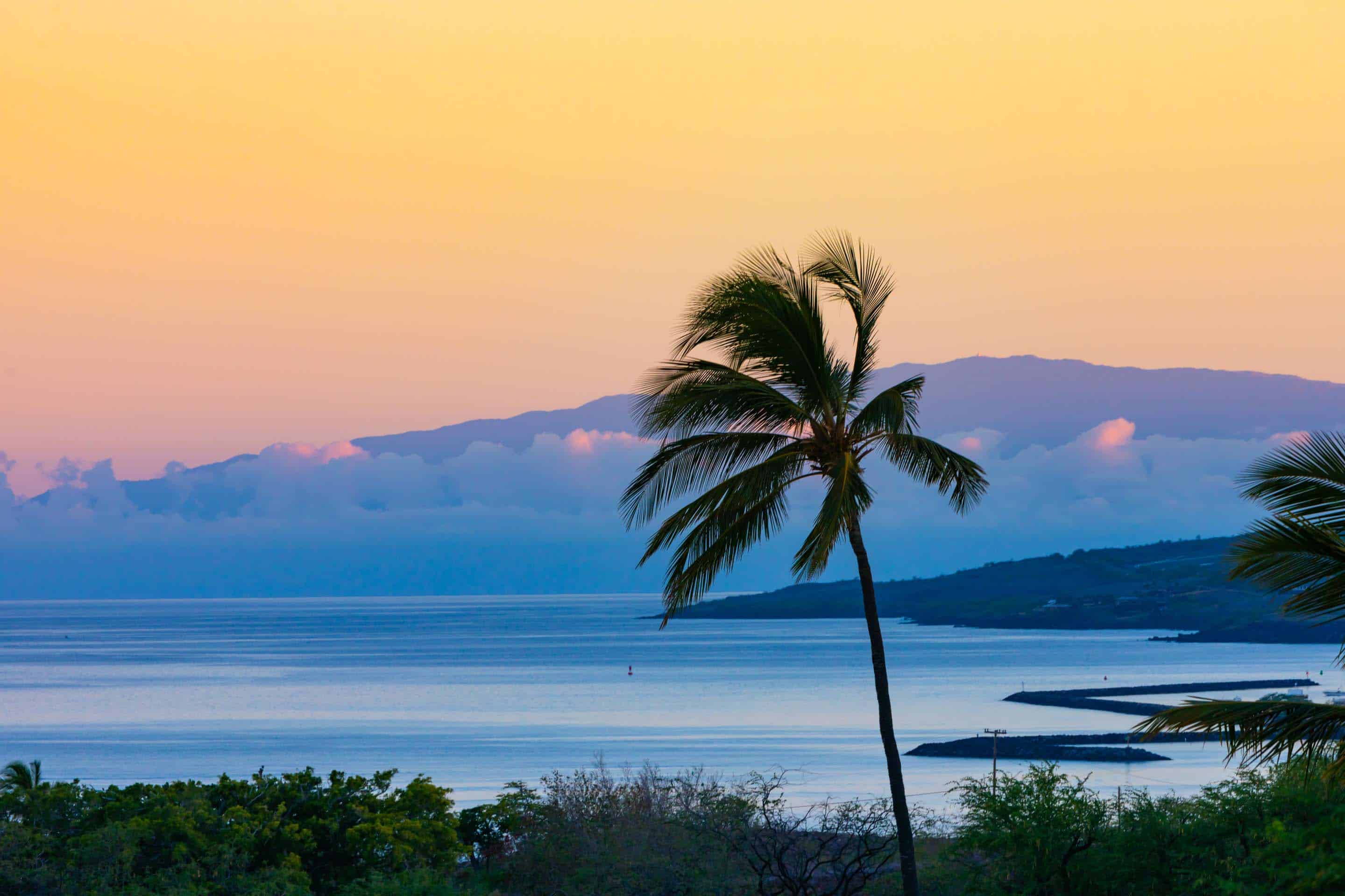 This image showcases a serene coastal view at sunset, featuring a prominent palm tree in the foreground. The calm ocean stretches towards a distant island with soft, pastel-colored clouds hovering above. The overall impression is one of tranquility and tropical beauty, ideal for highlighting the location and potential views of a property.