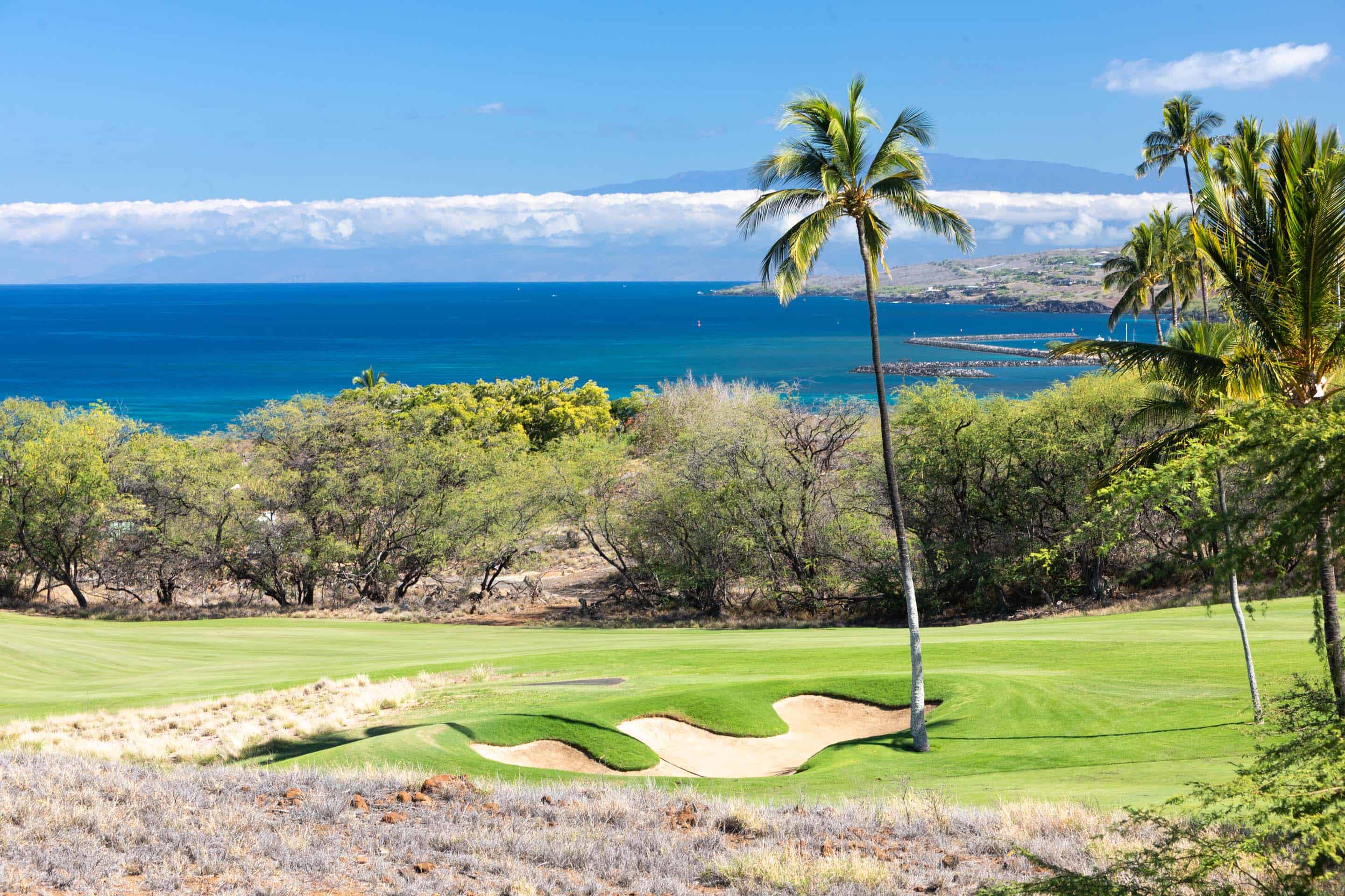 This image showcases a beautifully maintained golf course with a pristine green lawn, a sand bunker, and a solitary palm tree. The backdrop features a stunning ocean view with a clear blue sky, suggesting a luxurious and serene environment. The overall impression is one of tranquility and high-end leisure, perfect for attracting potential buyers seeking a premium property with access to recreational amenities.