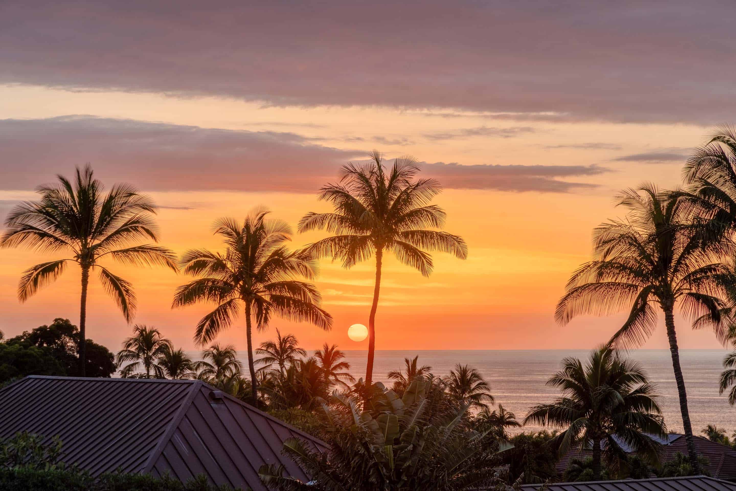 This stunning aerial view captures a tropical sunset over a coastal property. Palm trees silhouette against the vibrant orange sky, with the sun setting over the ocean horizon. A glimpse of a roof suggests a luxurious home nestled within the lush landscape, creating an idyllic and serene atmosphere.