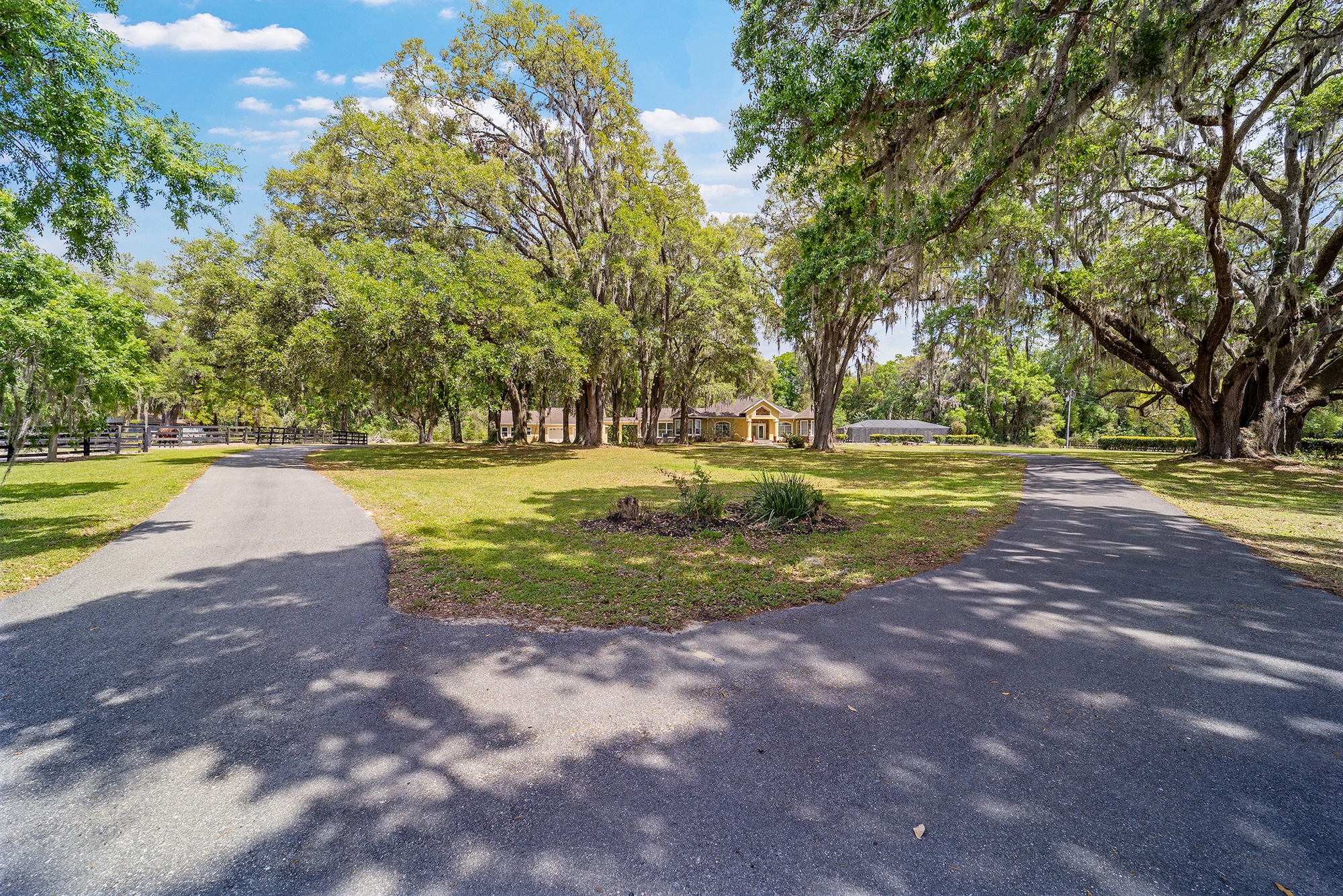 The image showcases a spacious front yard with a split driveway leading towards a yellow house partially obscured by large trees adorned with Spanish moss. The landscape is well-maintained with green grass and small shrubbery, offering a sense of tranquility and privacy. This curb appeal enhances the property's desirability.