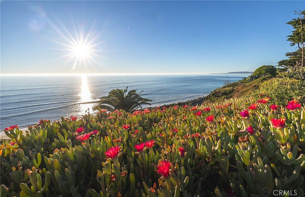 This scenic outdoor view captures a vibrant hillside covered in blooming ice plants overlooking a calm, sun-drenched ocean. The bright sun creates a dramatic lens flare in the clear blue sky, while a single palm tree stands near the shoreline below the cliff. The perspective is elevated, emphasizing the expansive coastal horizon and the natural beauty of the property's surroundings.