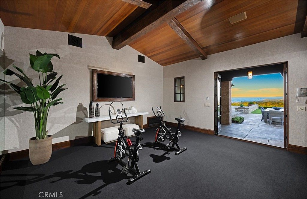 This is an interior shot of a home gym featuring two stationary bikes on a dark gray carpet. A large potted plant sits to the left, and a wall-mounted TV is centered above a console table with a bench. An open doorway leads to an outdoor patio with a view of the ocean, creating a luxurious workout environment.