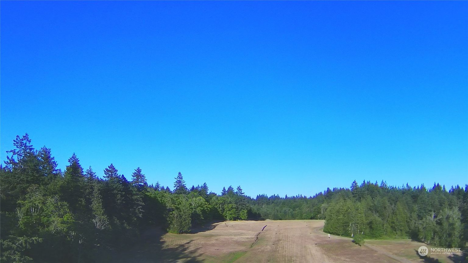 This aerial perspective captures a vast, open meadow bordered by a dense, mature forest under a clear, expansive blue sky. The landscape features a gentle slope leading down toward the treeline, suggesting a peaceful and secluded rural setting. The wide-angle view emphasizes the significant acreage and natural beauty of the property, making it an ideal canvas for potential development or outdoor recreation.