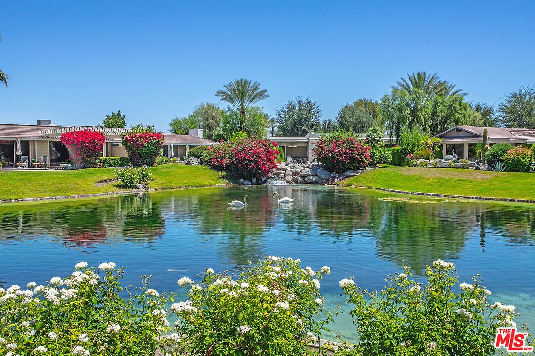 This serene outdoor scene features a tranquil pond centered between lush green lawns and vibrant landscaping, including bright pink bougainvillea bushes. A small rock waterfall flows into the water, where two white swans are swimming, framed by a foreground of white flowering shrubs. The perspective is a wide, eye-level shot capturing the peaceful residential setting under a clear blue sky.