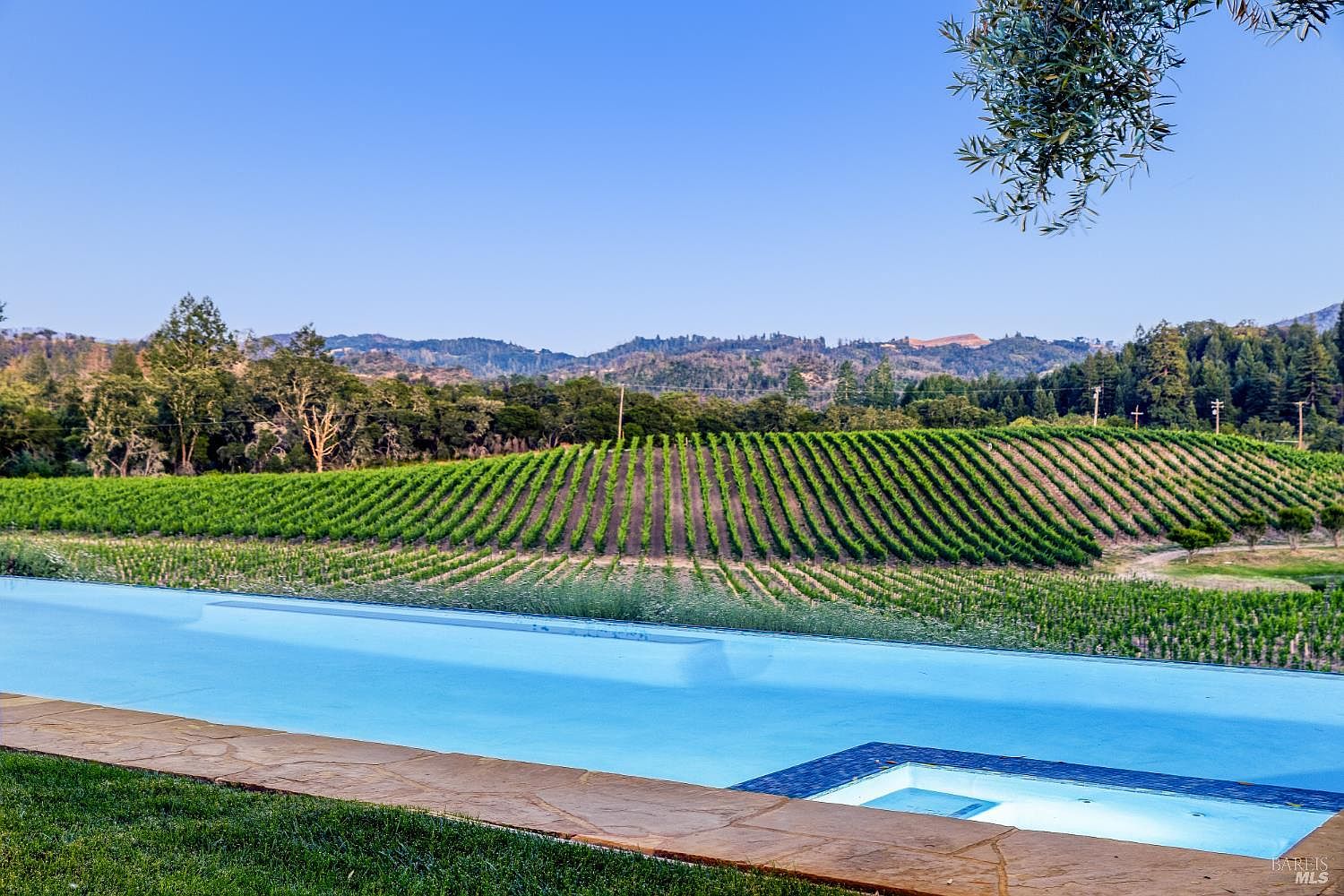 This stunning outdoor scene features a sleek, modern infinity-edge pool and integrated spa overlooking a vast, meticulously maintained vineyard. The foreground showcases a natural stone pool deck, while the background reveals rolling hills and a clear blue sky, creating a serene and luxurious atmosphere. The perspective is a low-angle, eye-level shot that emphasizes the seamless transition between the water and the expansive agricultural landscape.