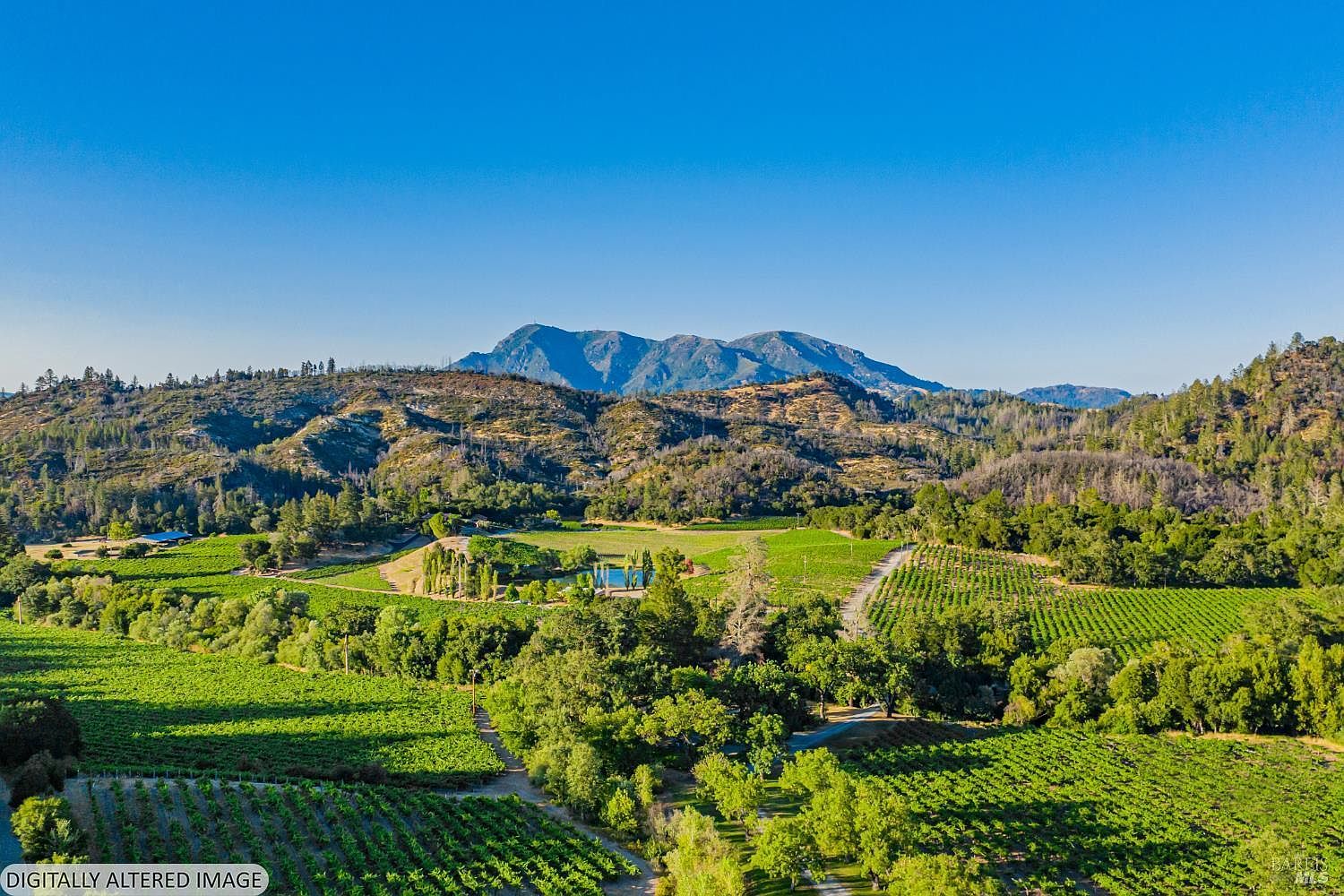 This expansive aerial view captures a sprawling vineyard estate nestled in a lush valley beneath a prominent mountain range. The landscape features meticulously maintained rows of grapevines, dense clusters of mature trees, and a small, serene pond at the center of the property. The clear blue sky and vibrant green foliage create a picturesque and tranquil setting, highlighting the vast potential and natural beauty of the land.