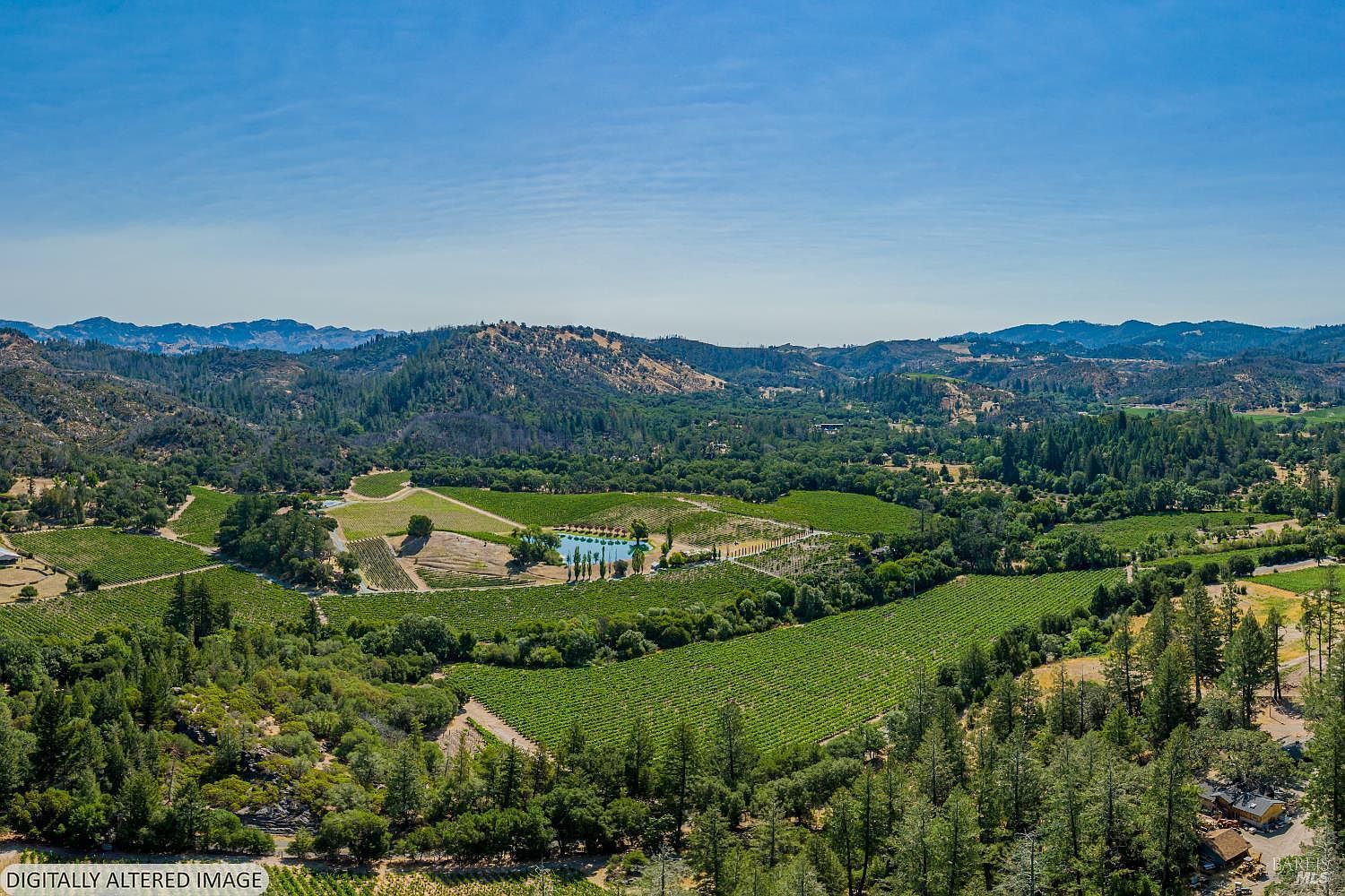 This expansive aerial view captures a sprawling vineyard estate nestled within a lush, rolling valley surrounded by forested hills. The property features neatly manicured rows of grapevines, a central pond, and mature trees, creating a serene and picturesque landscape. The wide-angle perspective emphasizes the vastness of the terrain and the tranquil, rural setting of the estate.