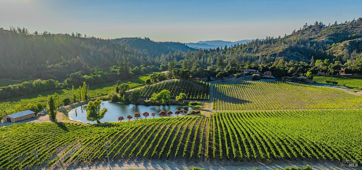 This stunning aerial view captures a sprawling vineyard estate nestled in a lush, rolling valley surrounded by forested hills. The property features a serene, reflective pond bordered by manicured rows of grapevines, a small barn, and a main residence tucked into the landscape. The golden hour lighting enhances the vibrant green of the vines and the peaceful, expansive atmosphere of this rural retreat.