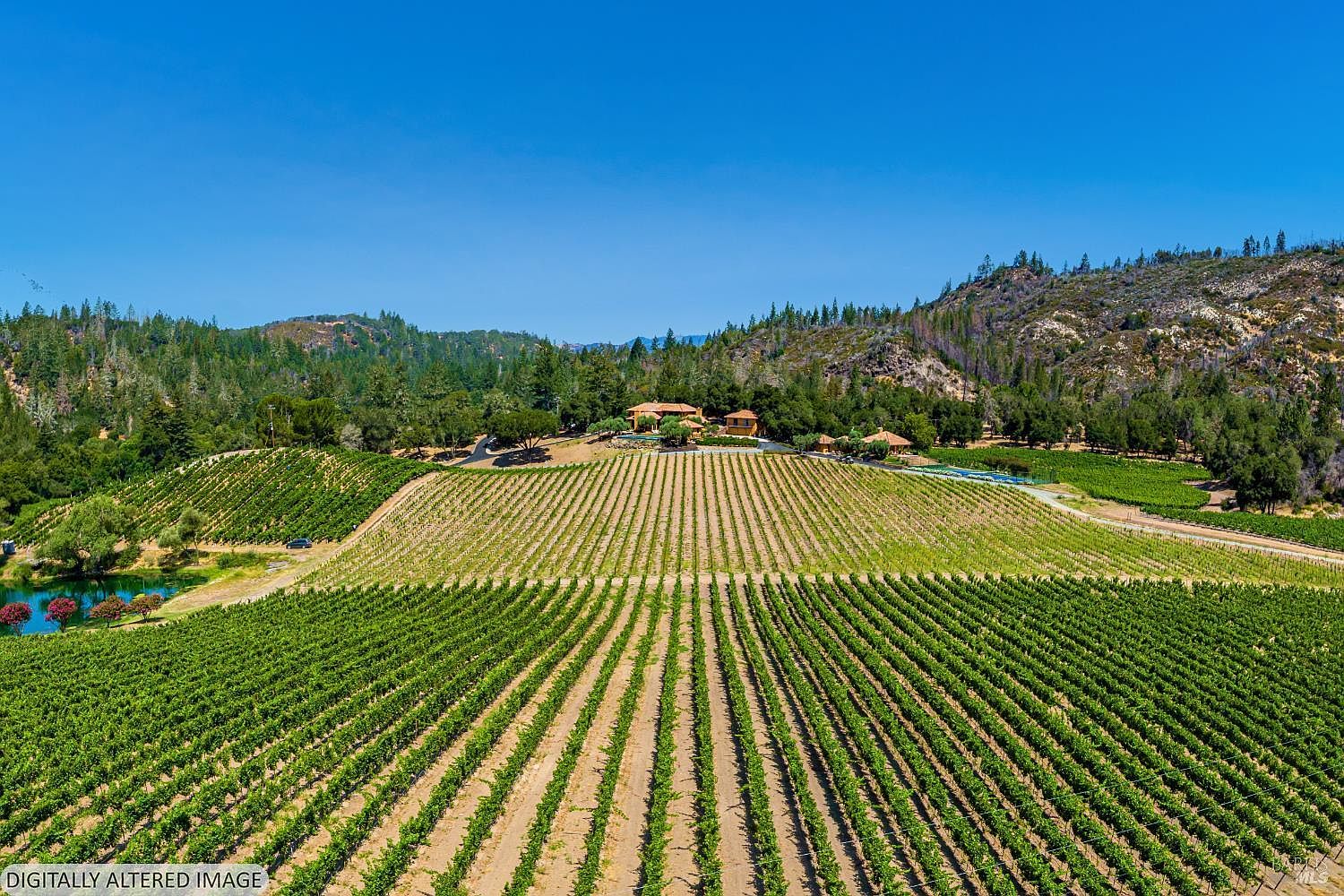This expansive aerial view captures a sprawling vineyard estate nestled against a backdrop of rolling, forested hills under a clear blue sky. The property features a large, traditional-style residence situated at the crest of the hill, overlooking meticulously maintained rows of grapevines and a serene pond in the foreground. The composition emphasizes the vast scale and peaceful, rural luxury of the vineyard setting.