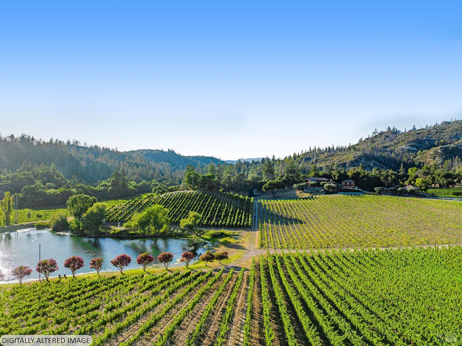 This expansive aerial view captures a sprawling vineyard estate set against a backdrop of rolling, tree-covered hills under a clear blue sky. The property features meticulously maintained rows of grapevines, a serene pond lined with flowering trees, and a secluded residence nestled in the distance. The perspective provides a grand, cinematic sense of scale, highlighting the peaceful and picturesque nature of the agricultural landscape.