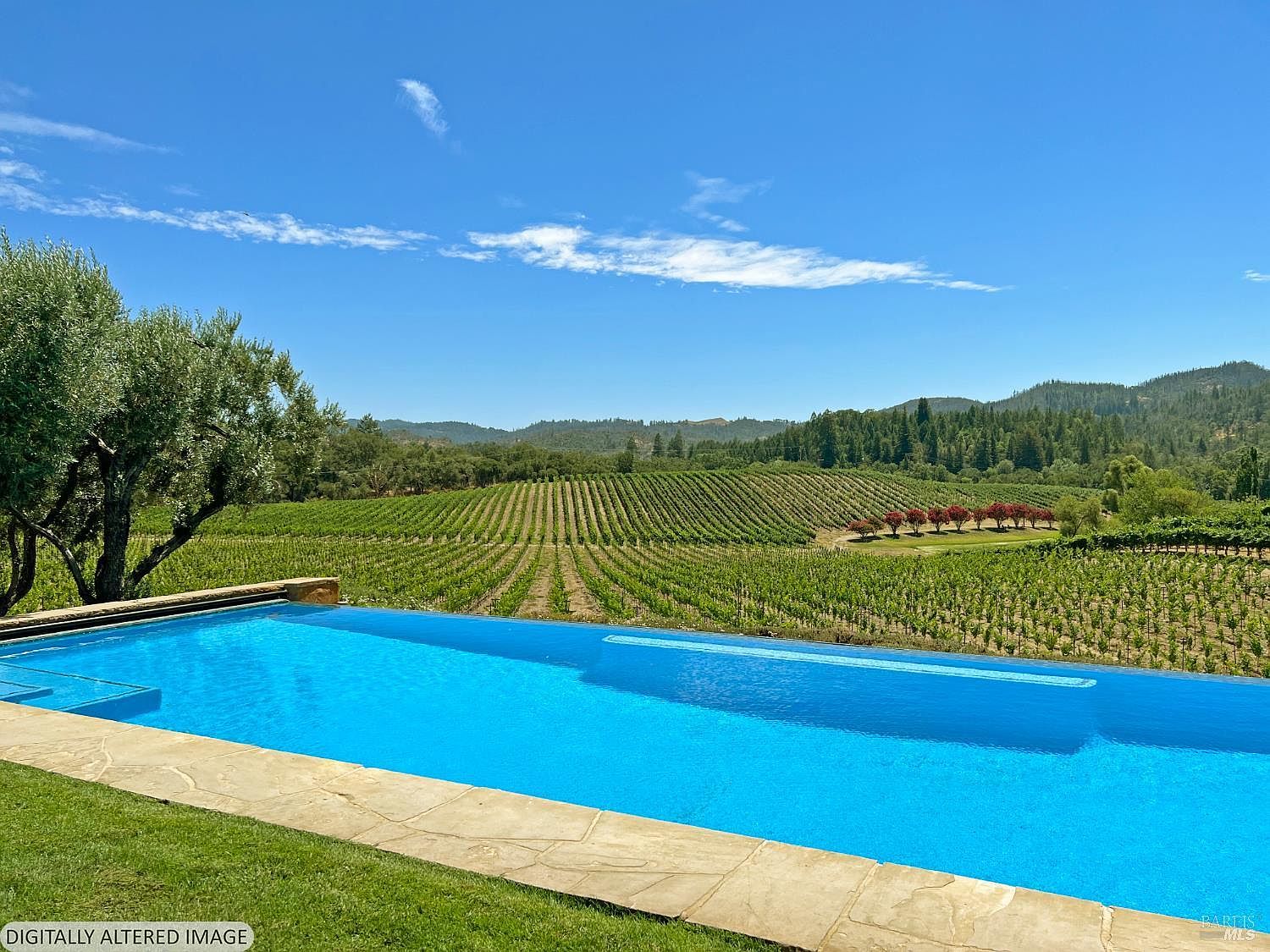 This stunning infinity-edge pool overlooks a vast, meticulously maintained vineyard set against a backdrop of rolling hills and a clear blue sky. The foreground features a stone-paved pool deck and a lush green lawn, creating a seamless transition between the luxury amenities and the natural landscape. The perspective is a wide, eye-level shot that emphasizes the expansive, serene atmosphere of this high-end estate.