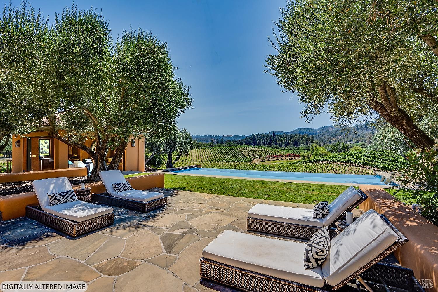 This stunning outdoor living space features a sleek infinity-edge pool overlooking a sprawling vineyard and rolling hills. The stone patio is furnished with four comfortable lounge chairs, shaded by mature olive trees, creating a serene and luxurious atmosphere. The scene captures a perfect blend of Mediterranean-inspired architecture and natural beauty, ideal for high-end relaxation.