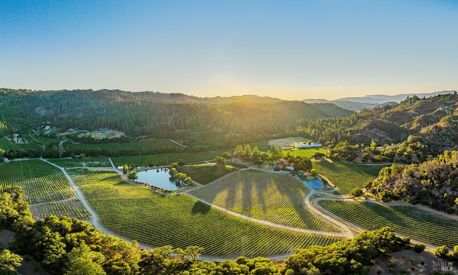 This stunning aerial view captures a sprawling vineyard estate nestled within a lush, rolling valley at sunset. The property features expansive rows of grapevines, a serene private pond, and a residential compound with a swimming pool, all surrounded by dense, forested hills. The golden hour light casts long, dramatic shadows across the landscape, emphasizing the vast scale and tranquil, picturesque nature of the estate.