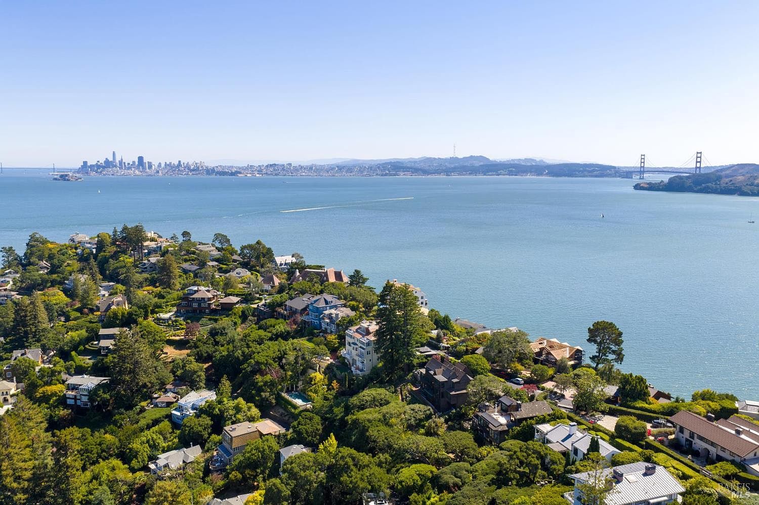 This aerial shot showcases a neighborhood of luxurious homes nestled among lush greenery, overlooking a stunning ocean view with a bridge in the distance. The houses feature diverse architectural styles, and the landscape is a mix of mature trees and manicured gardens. The overall impression is one of exclusivity and tranquility.