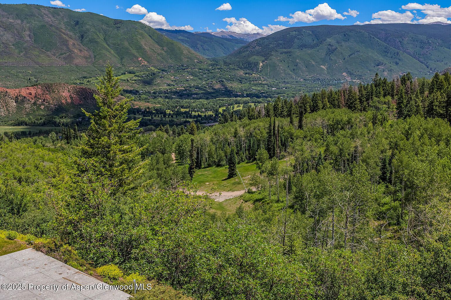 This image showcases a lush, green landscape with a view of distant mountains under a partly cloudy sky. The foreground features a variety of trees and shrubs, suggesting a well-maintained yard or garden. The overall impression is one of natural beauty and tranquility, highlighting the property's scenic surroundings.