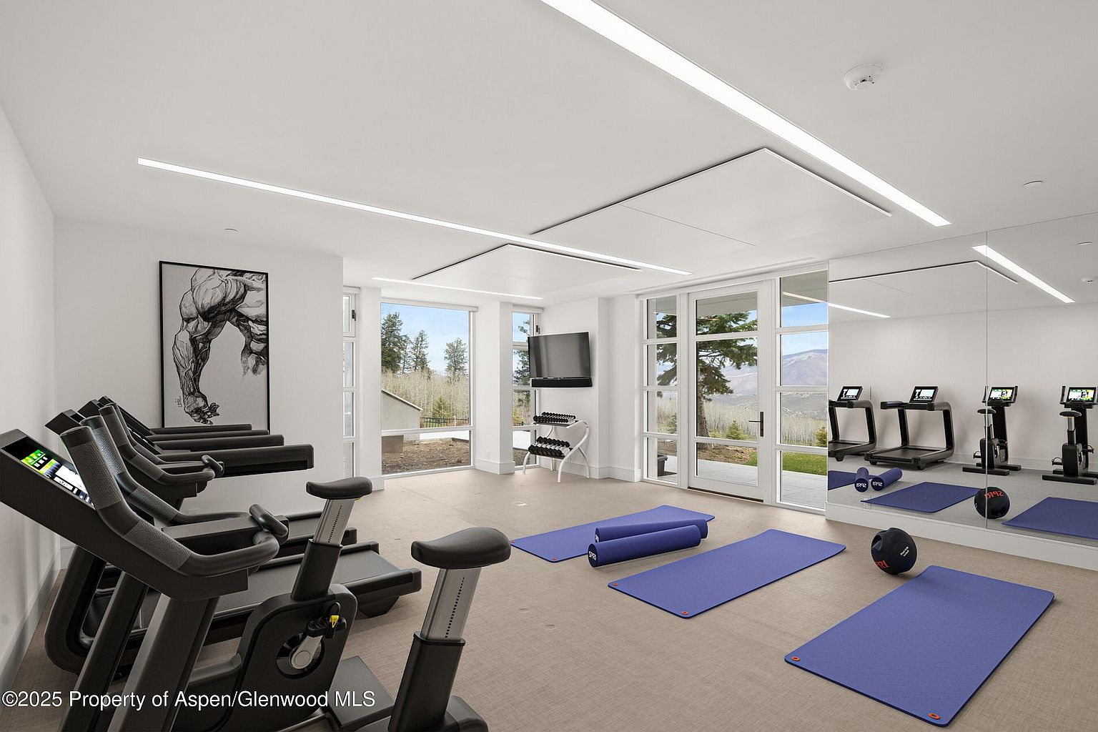 This is a well-equipped home gym featuring multiple treadmills, stationary bikes, and workout mats. A large mirror enhances the sense of space, while natural light streams in through the windows, offering views of the outdoors. The room is clean, modern, and designed for a comprehensive workout experience.
