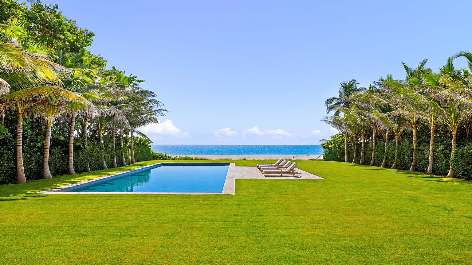 This image showcases a luxurious backyard featuring a rectangular swimming pool, manicured green lawn, and a row of palm trees lining the perimeter. Lounge chairs are neatly arranged on a concrete patio adjacent to the pool, offering a relaxing space with ocean views. The scene evokes a sense of tranquility and upscale outdoor living.