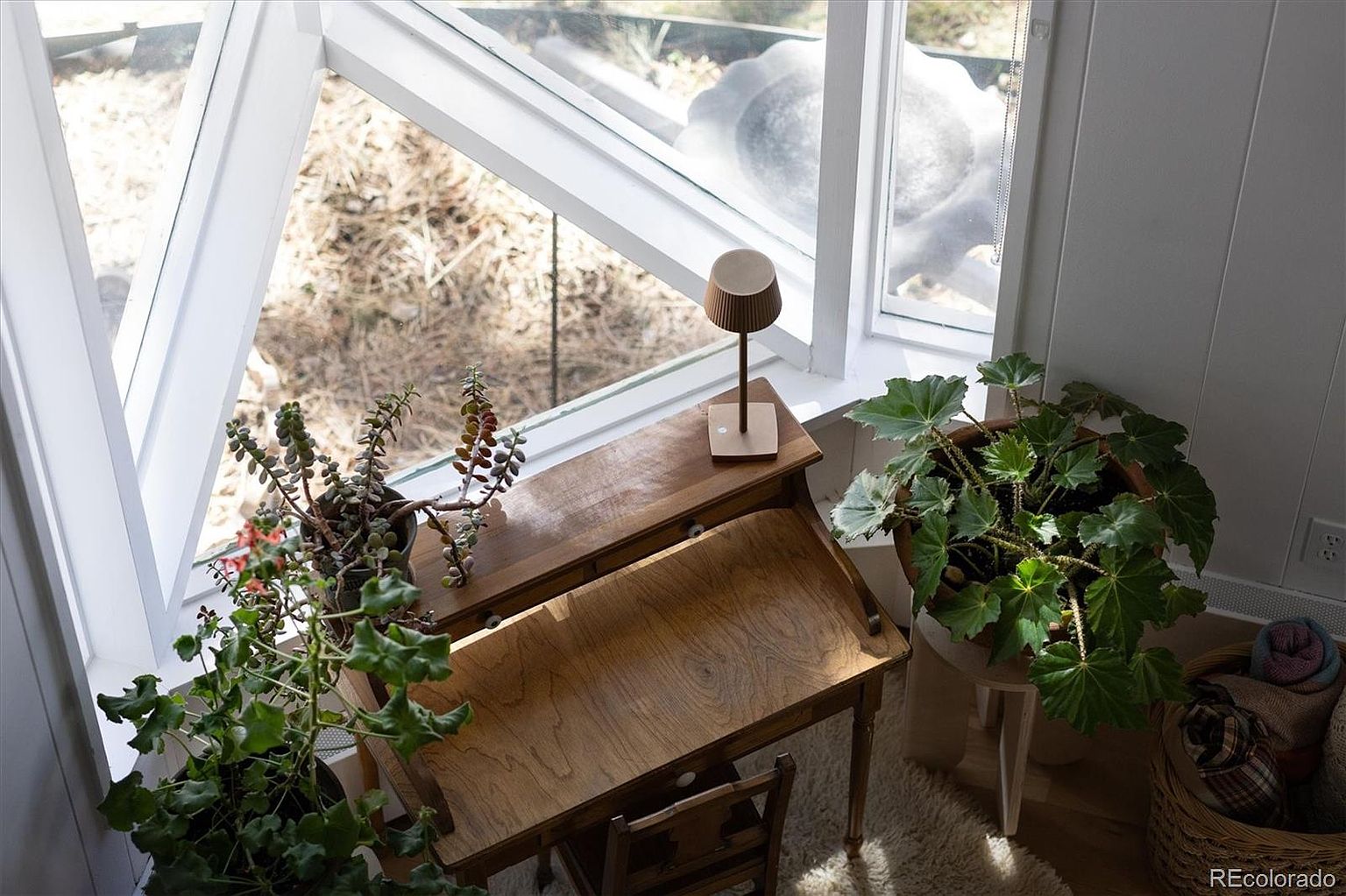 This cozy, sun-drenched corner features a vintage wooden secretary desk positioned perfectly beneath a large, angled window. The space is accented by lush indoor plants, including a large begonia and a succulent, creating a serene and inviting atmosphere. The high-angle perspective highlights the warm wood tones and the natural light flooding the workspace, suggesting a peaceful area for reading or writing.