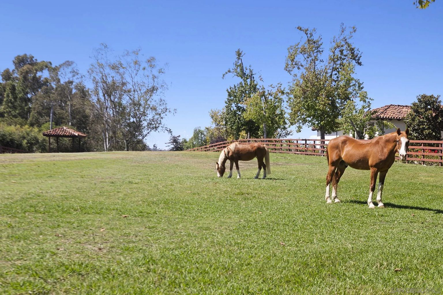 This exterior shot showcases a sprawling yard with lush green grass and two horses grazing peacefully. A wooden fence lines the property, and mature trees provide shade and privacy. In the background, a gazebo adds a touch of elegance to the landscape, creating a serene and inviting atmosphere.