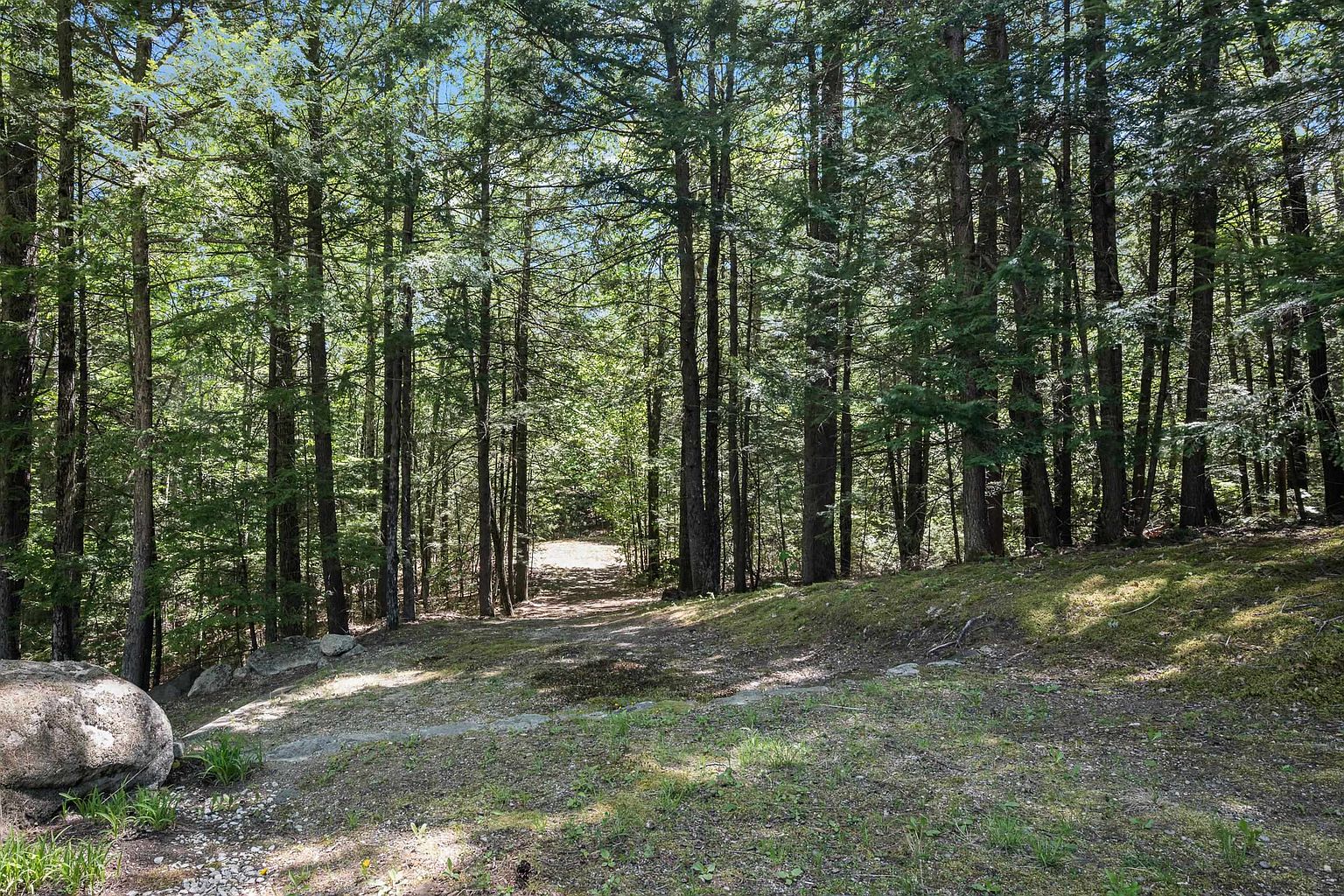 This image captures a serene, wooded landscape featuring a natural dirt path leading into a dense forest of tall, mature trees. The foreground includes a large, moss-covered boulder and patches of green ground cover, creating a rustic and secluded atmosphere. The perspective is eye-level, looking down the path toward a sunlit clearing in the distance, emphasizing the property's private, natural setting.
