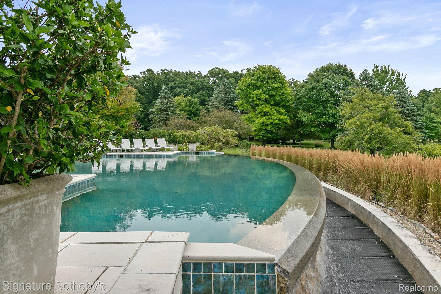 This image showcases a luxurious outdoor pool area, featuring a curved infinity-edge pool with turquoise water. The pool is surrounded by lush landscaping, including ornamental grasses and mature trees, creating a serene and private setting. White lounge chairs are arranged on a tiled deck, inviting relaxation and enjoyment of the outdoor space.