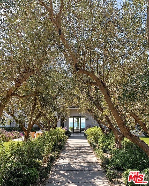 A picturesque stone pathway leads through a canopy of mature olive trees toward the glass-paned front entrance of a modern home. The perspective is centered, drawing the eye through the lush, manicured greenery toward a glimpse of the ocean in the distance. The scene evokes a serene, high-end coastal atmosphere with a sophisticated blend of natural landscaping and architectural elegance.