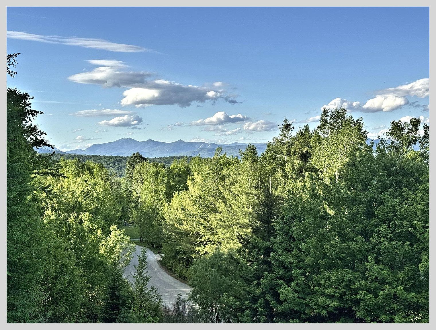 This elevated perspective captures a scenic, expansive view of a lush, green forest canopy set against a backdrop of distant, rolling mountains under a bright blue sky with scattered clouds. A winding, unpaved road curves through the dense trees in the lower portion of the frame, suggesting a secluded and tranquil setting. The composition emphasizes the natural beauty and privacy of the property's surroundings, highlighting a serene, picturesque landscape.