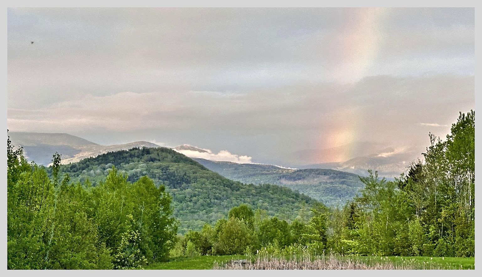 This scenic landscape view captures a lush, rolling mountain range covered in dense green forest under a soft, overcast sky. A faint, ethereal rainbow arches through the atmosphere, adding a serene and picturesque quality to the horizon. The foreground features a grassy field with tall, slender reeds, providing a natural frame for the expansive, tranquil vista.