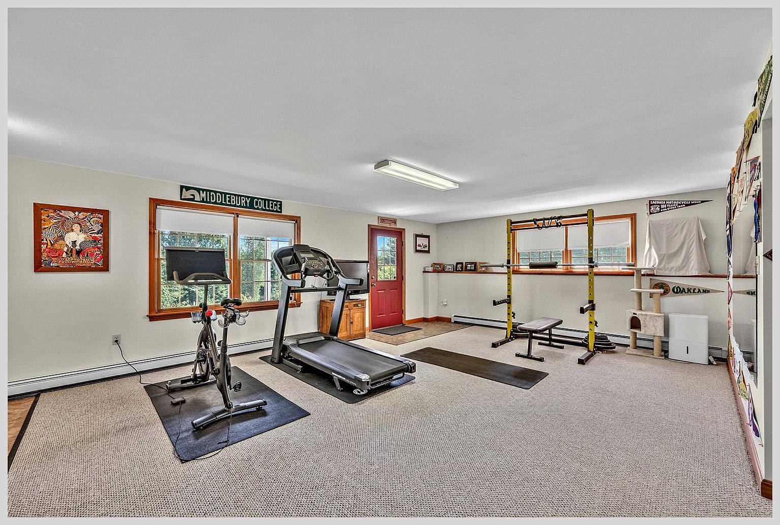 This spacious home gym features neutral carpeting and is equipped with a stationary bike, a treadmill, and a weight rack with a bench. The room is well-lit by a long overhead light fixture and natural light streaming through two sets of windows, creating an inviting space for fitness. A red door provides exterior access, while a cat tree and various wall decorations add a personal touch to the functional workout area.