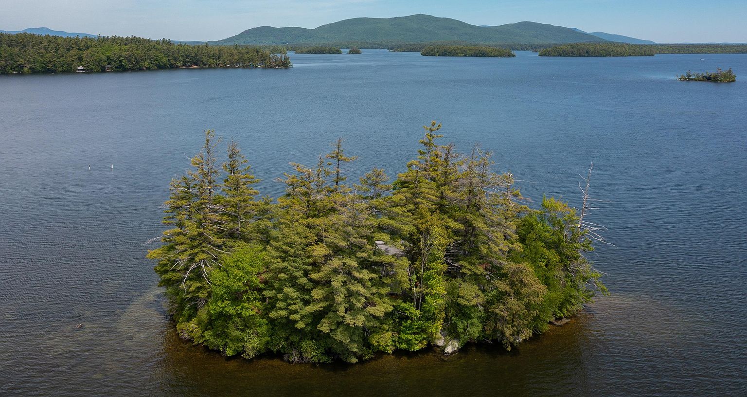 This aerial perspective captures a secluded, tree-covered island situated in the middle of a vast, calm lake. The dense canopy of mature evergreen and deciduous trees obscures a private residence, emphasizing the property's extreme privacy and natural setting. In the background, rolling hills and distant shorelines frame the expansive water, creating a serene and picturesque landscape.