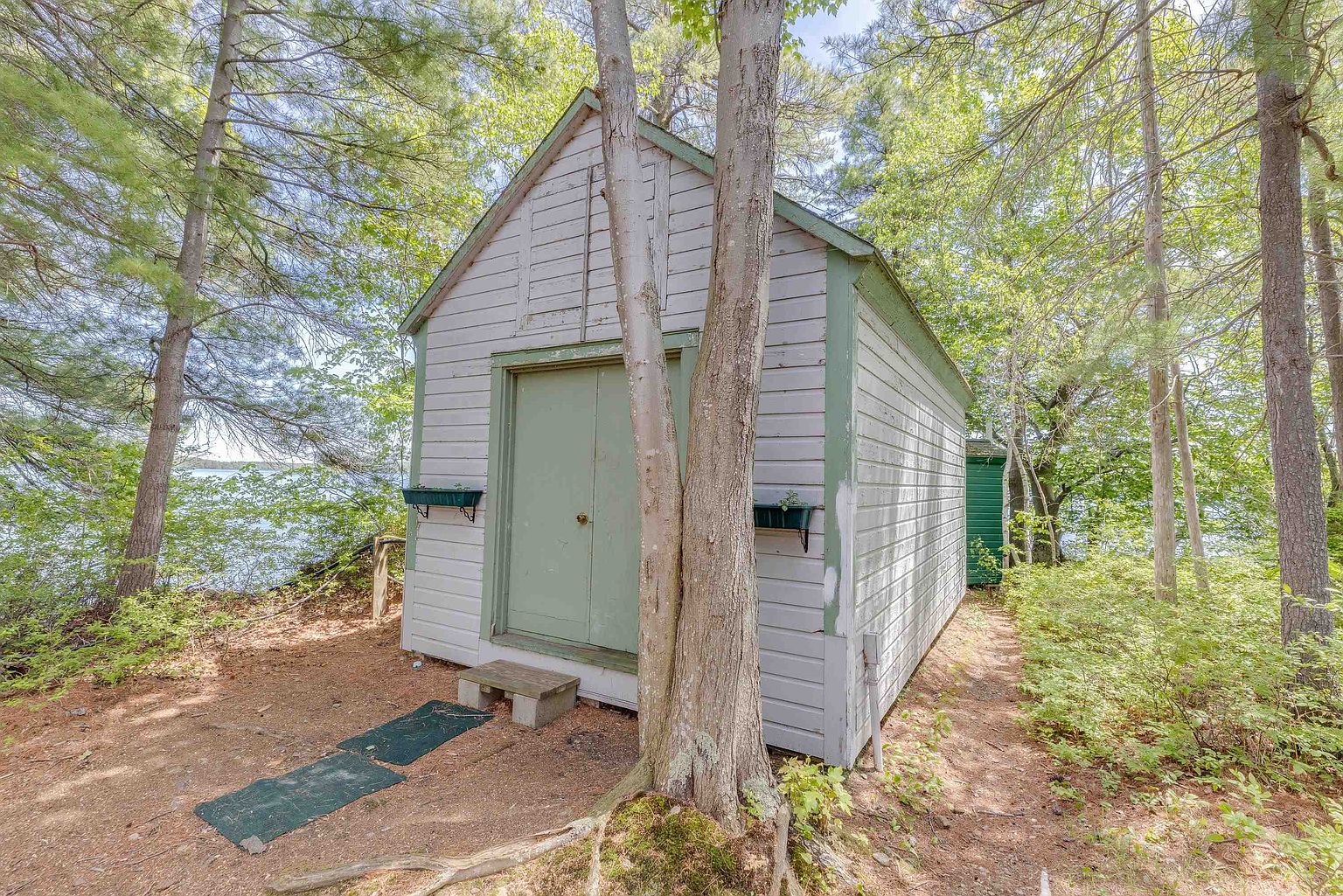This image captures a rustic, light-colored wooden shed nestled within a wooded area near a body of water. The structure features double doors with green trim, matching window boxes, and a small step leading to the entrance, all set against a backdrop of mature trees and filtered sunlight. The perspective is a straight-on shot that highlights the shed's integration into the natural, serene landscape.