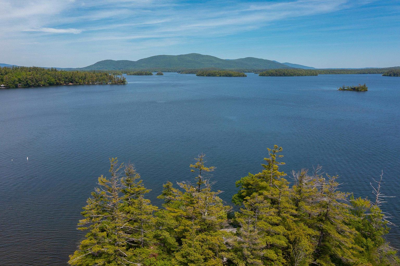 This aerial perspective captures a serene, expansive lake surrounded by lush, dense forests and distant rolling mountains under a clear blue sky. In the foreground, a cluster of evergreen trees occupies a small landmass, providing a natural frame for the vast, calm water. The scene conveys a sense of tranquility and seclusion, highlighting the natural beauty and waterfront access of the property's surroundings.