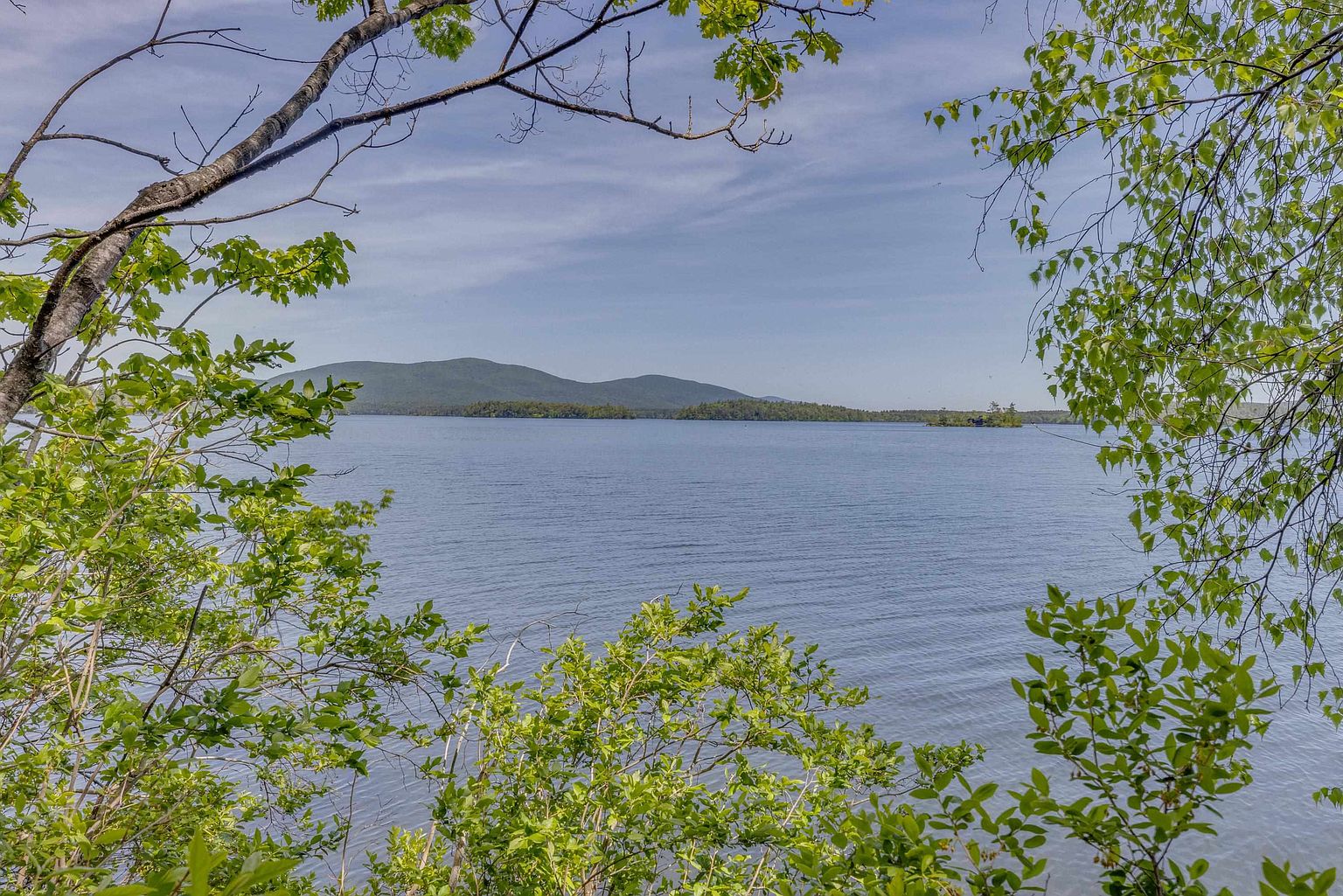 This scenic view captures a tranquil lake framed by lush, green tree branches in the foreground. In the distance, rolling hills rise above the water under a clear blue sky with light, wispy clouds. The perspective is from a slightly elevated position, looking out over the water toward a small, wooded island, creating a peaceful and natural atmosphere.