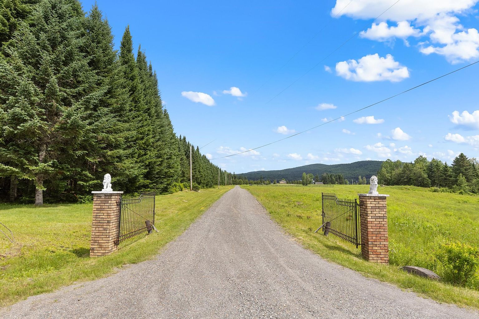 This image captures a grand, gated entrance to a property, featuring two brick pillars topped with decorative lion statues. A long, gravel driveway stretches into the distance, flanked by a dense line of tall evergreen trees on the left and an expansive, open green field on the right. The perspective is centered, drawing the eye toward the rolling hills in the background under a bright, clear blue sky with scattered clouds.