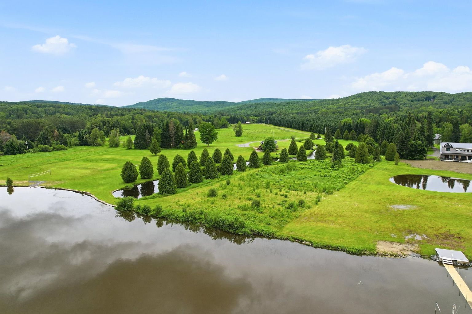 This high-angle aerial view captures a sprawling rural property featuring a large pond in the foreground and a secondary smaller pond nearby. The landscape is characterized by expansive green lawns, a line of mature evergreen trees, and a dense forest backdrop under a clear blue sky. A small dock extends into the main pond, while a residential structure is visible on the far right edge of the frame.